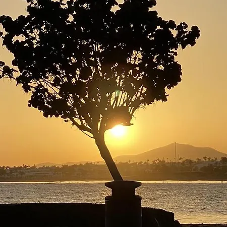 Vista Mar מלון Los Pocillos